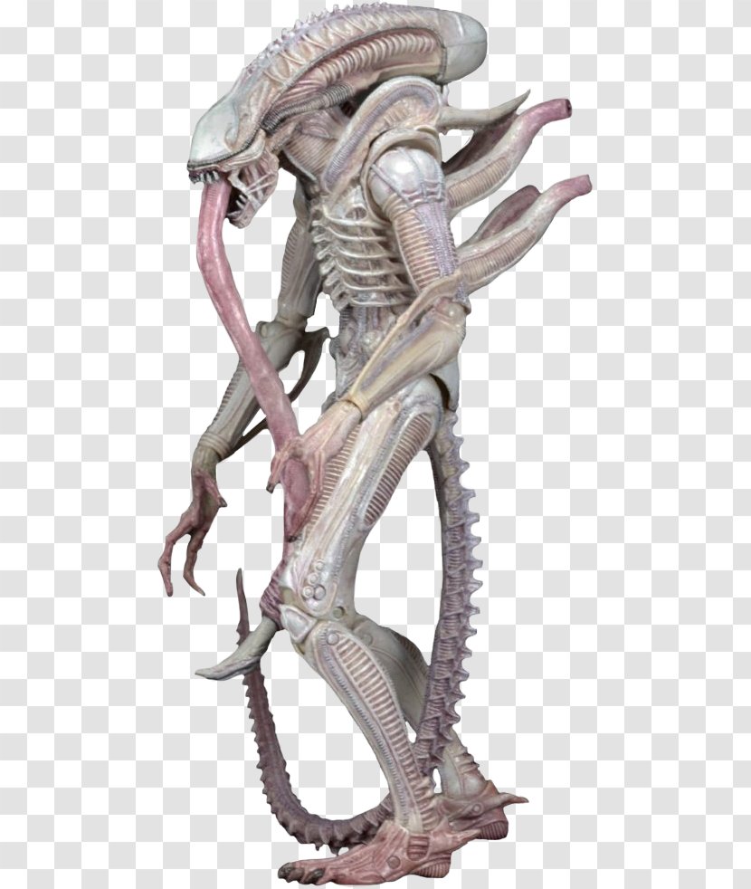 18cm Neca Aliens Series 9 Xenomorph Vasquez Frost Action Figure Pvt. & Toy Figures - Mythical Creature - Drone Transparent PNG