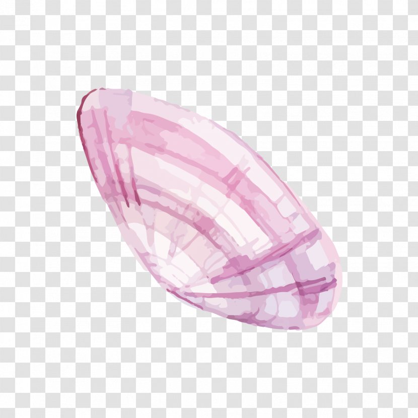 Oyster - Designer - Red Shell Transparent PNG