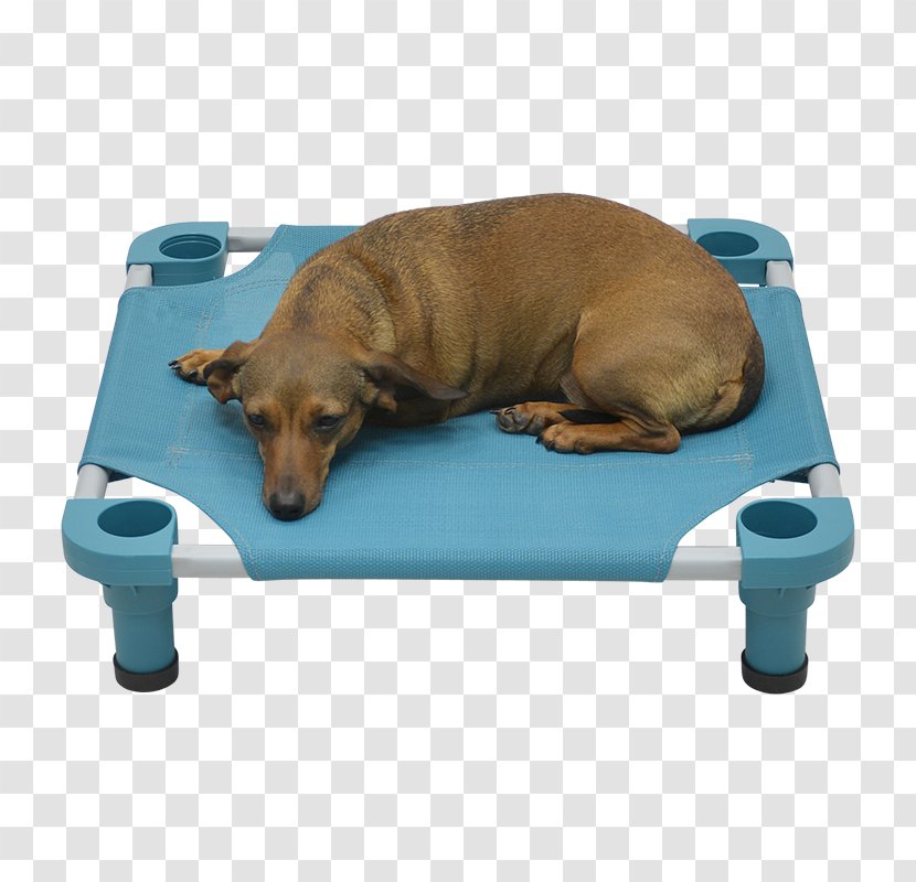 Dog Breed Cat Camp Beds Cots - Puppy Transparent PNG