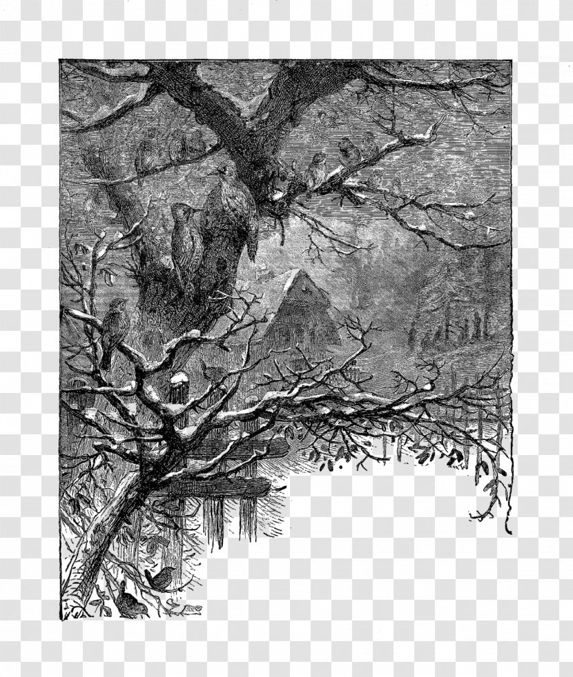 Twig Drawing Wood /m/083vt /m/02csf - Branch - Snow Covered Tree Transparent PNG