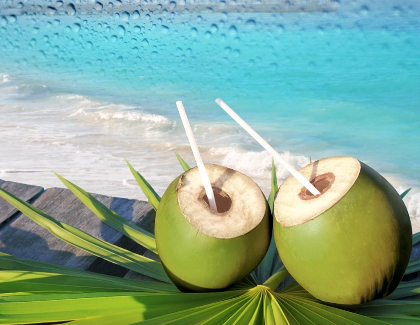 Fizzy Drinks Coconut Water Sports & Energy Non-alcoholic Drink Transparent PNG