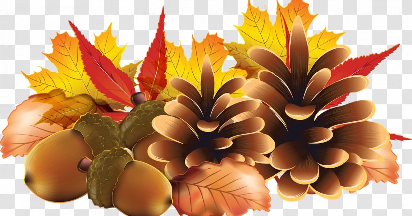 Clip Art Image Graphic Design Desktop Wallpaper - Autumn - Golden Transparent PNG