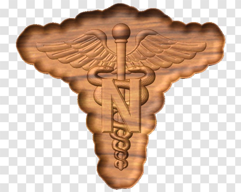 United States Army Nurse Corps Military Nursing - Artifact - 3d Model Home Transparent PNG