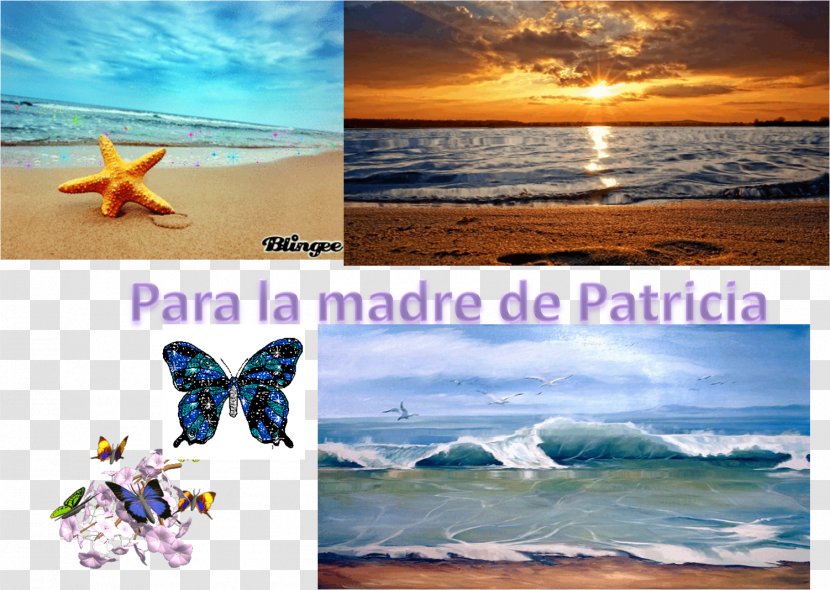 Advertising Desktop Wallpaper Stock Photography Vacation Tourism - Sea - Dia De La Mujer Transparent PNG