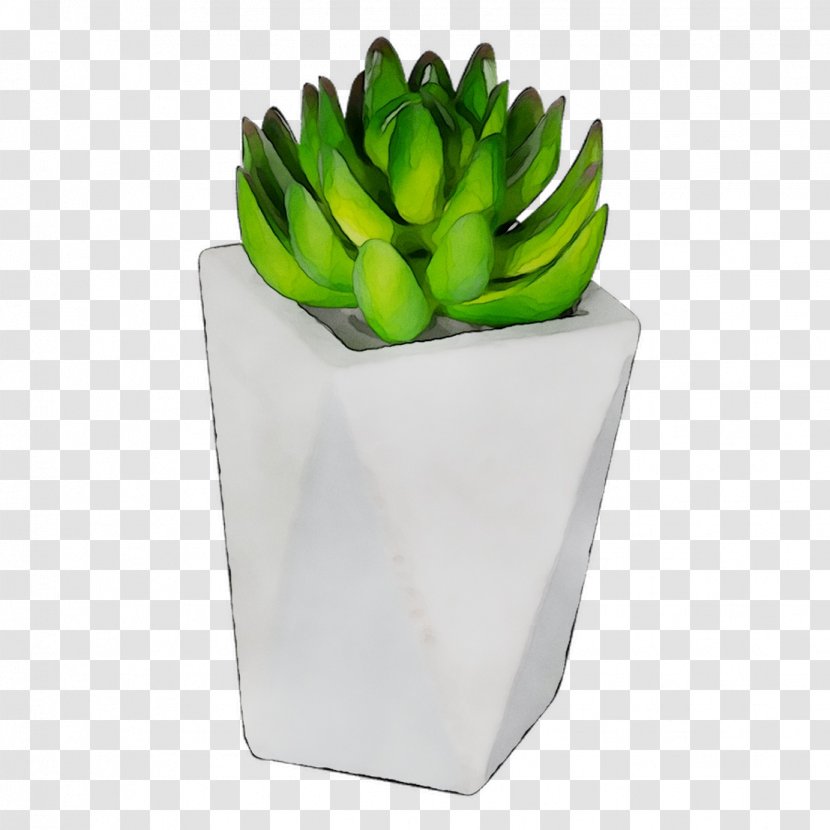 Plants - Flowerpot - Succulent Plant Transparent PNG