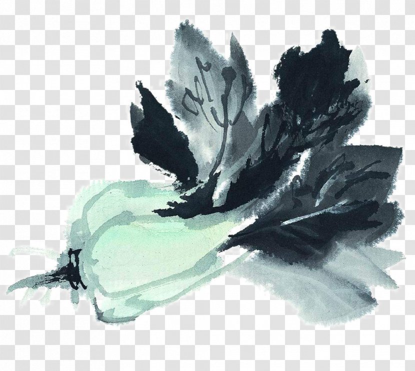 Ink Wash Painting Chinese Cabbage Napa Vegetable Transparent PNG