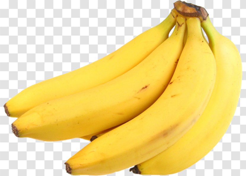 Banana Pudding Fruit Leaf Food - Family Transparent PNG
