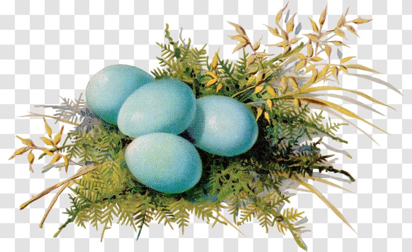 Egg Casserole Shirred Eggs Recipe Bisquick - Easter Transparent PNG