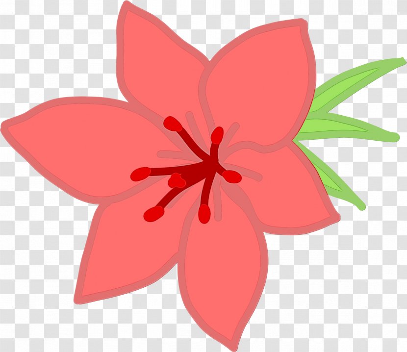 Lily Flower Cartoon - Plants - Wildflower Transparent PNG
