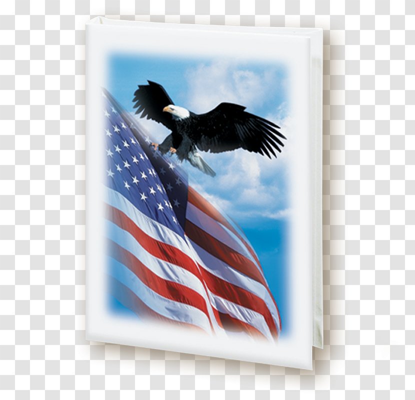 Book Patriotism Find A Grave Memorial Color Image - Wing - Patriot Prayer Transparent PNG