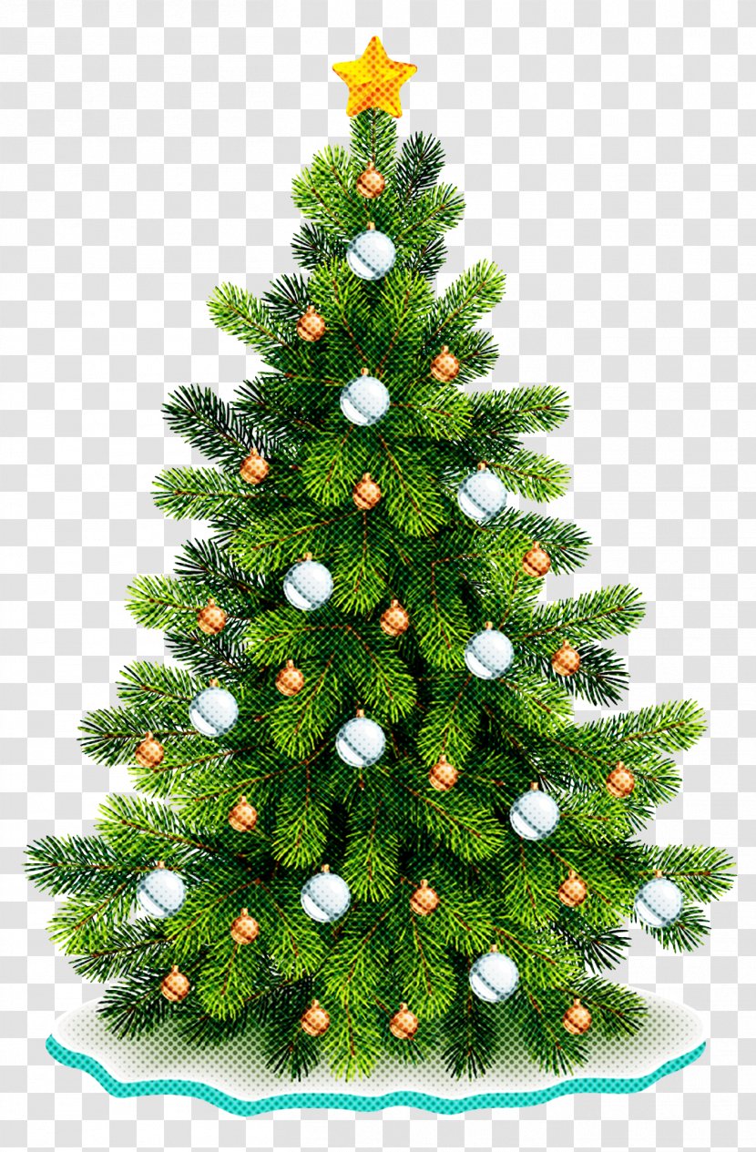 Christmas Tree - Decoration - Shortleaf Black Spruce Canadian Fir Transparent PNG