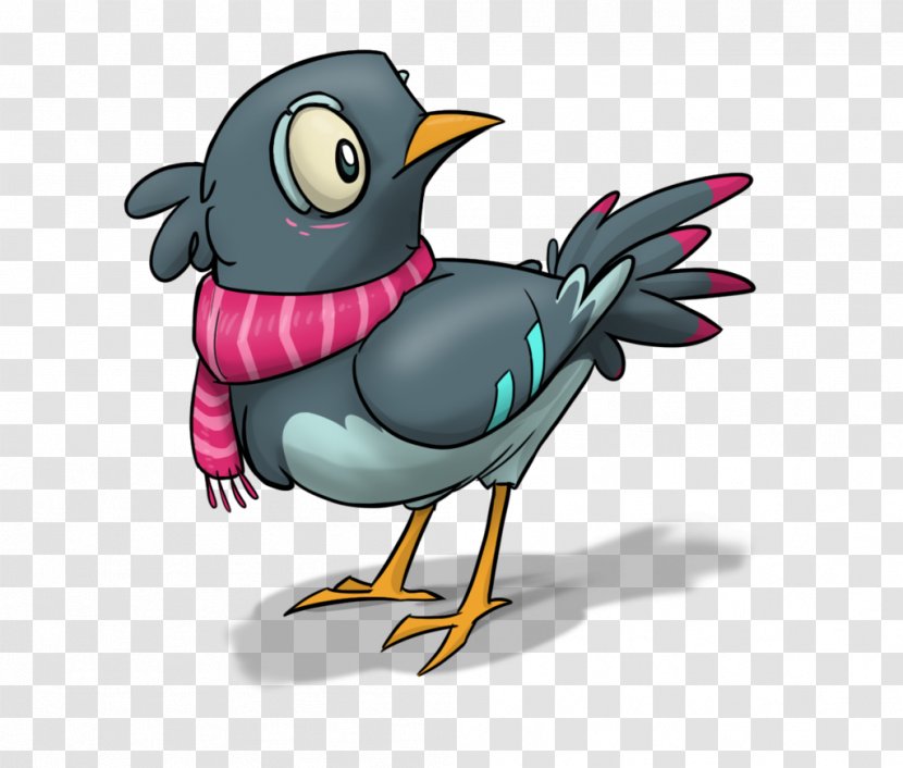 Rock Dove Bird Illustration Image - Typical Pigeons Transparent PNG