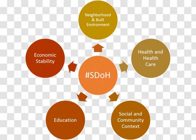 Social Determinants Of Health Organization Ethics Value Ethical Code - Morality - Poor Transparent PNG