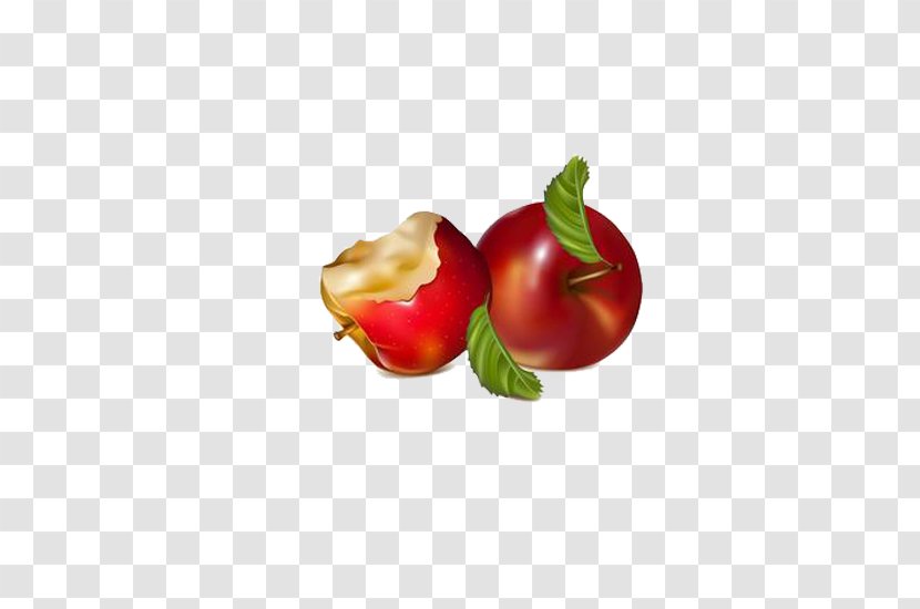 Apple Clip Art - Local Food - Red Delicious Apples Transparent PNG