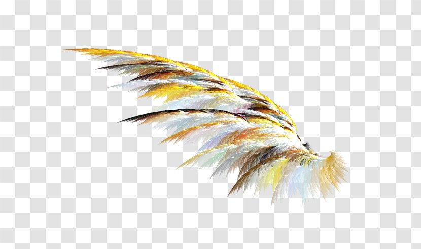 Drawing Clip Art - Painting - Feather Transparent PNG