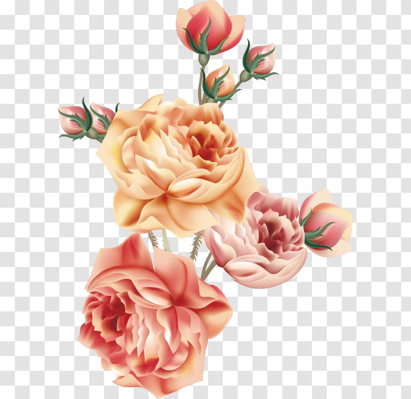 Garden Roses Centifolia Napkin Victorian Era Rosa Chinensis - Vector Flower Transparent PNG