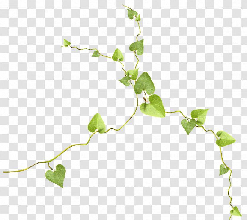 Green Leaf Clip Art - Plant - Mother Day Transparent PNG