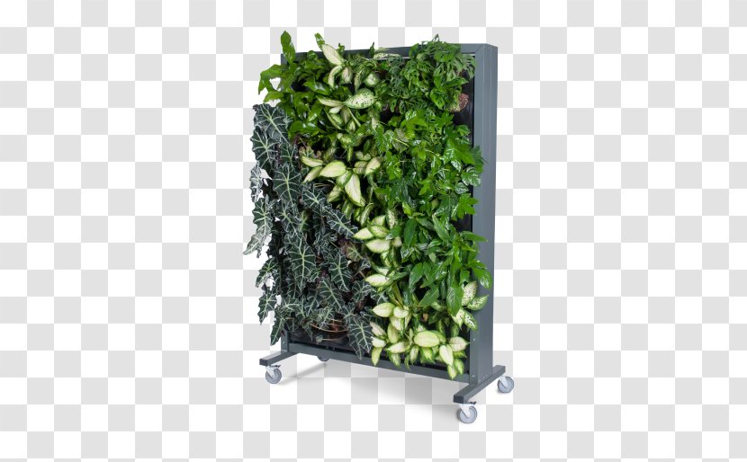 Green Wall Gardening Flowerpot - Herb - Vertical Garden Transparent PNG