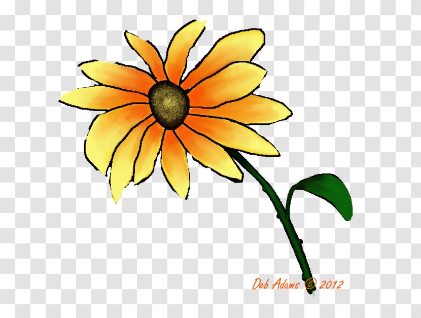 Common Sunflower Daisy Family Cut Flowers Plant - Watercolor Transparent PNG