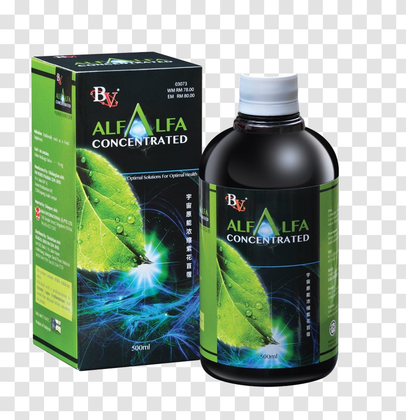 Alfalfa Coffee Drink Dietary Supplement Lemak Makanan - Mineral Transparent PNG