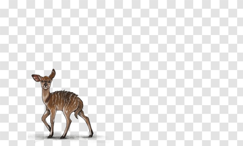 Deer Antelope Pronghorn Moose Wildlife Transparent PNG