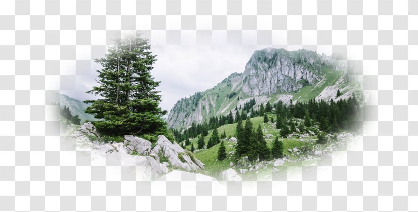 Featured image of post Nature Wallpaper 4K Png / All of these nature background images and vectors have high resolution and can be used as banners, posters or wallpapers.