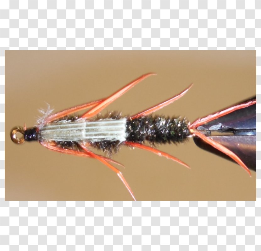 Artificial Fly Insect - Fishing Lure Transparent PNG