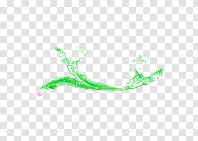 Fundal Food Bitter Melon - Aqua - Water Ripples Splash Transparent PNG