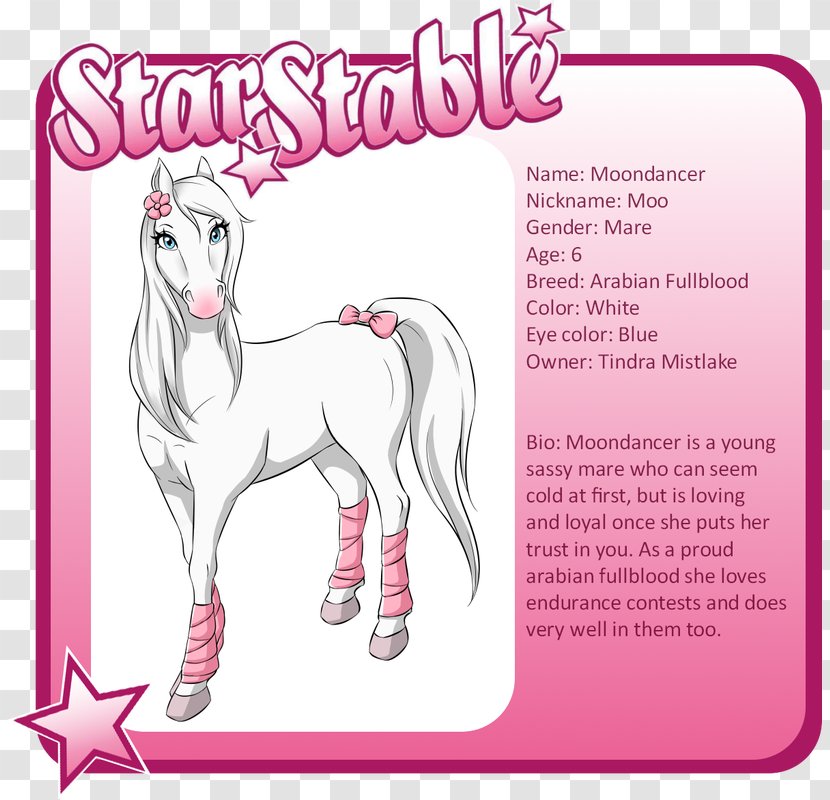 Pony Mustang Star Stable Pack Animal Drawing - Frame Transparent PNG