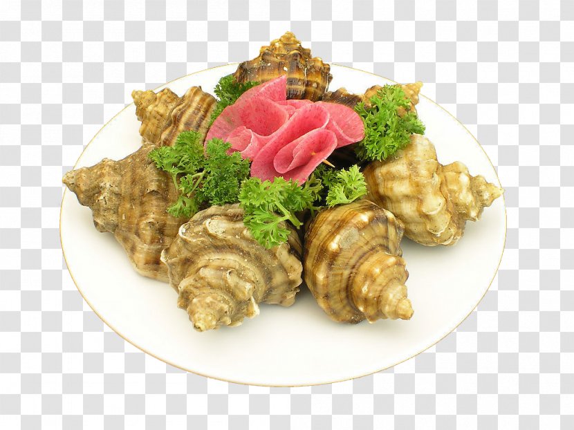 Seafood Sea Snail Ingredient Eating - Recipe - Conch Transparent PNG