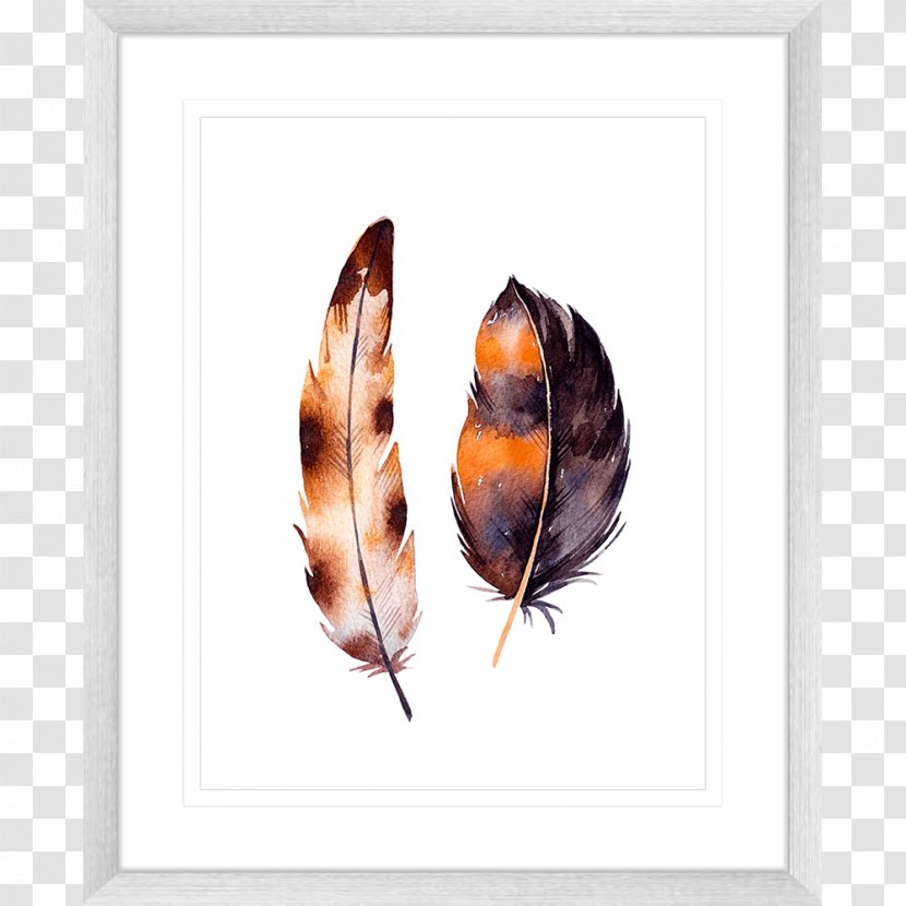 Feather White Color Picture Frames - Moths And Butterflies Transparent PNG