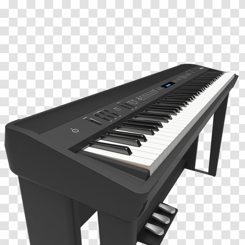 Digital Piano Roland Corporation Stage Keyboard - Cartoon Transparent PNG