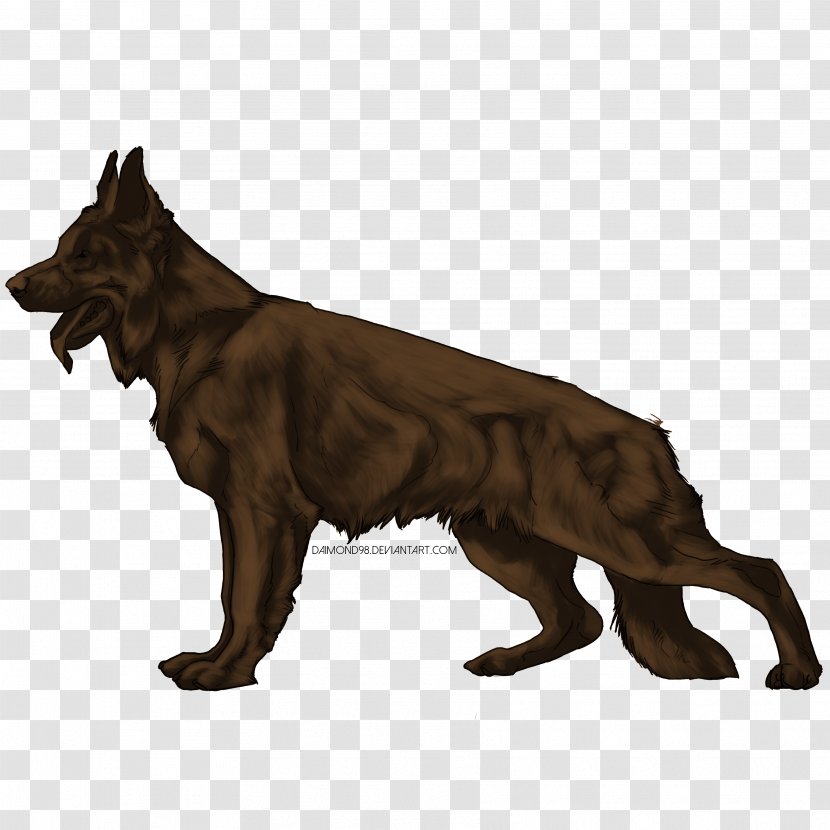 Dog Breed German Shepherd Malinois Animal - Wildlife Transparent PNG