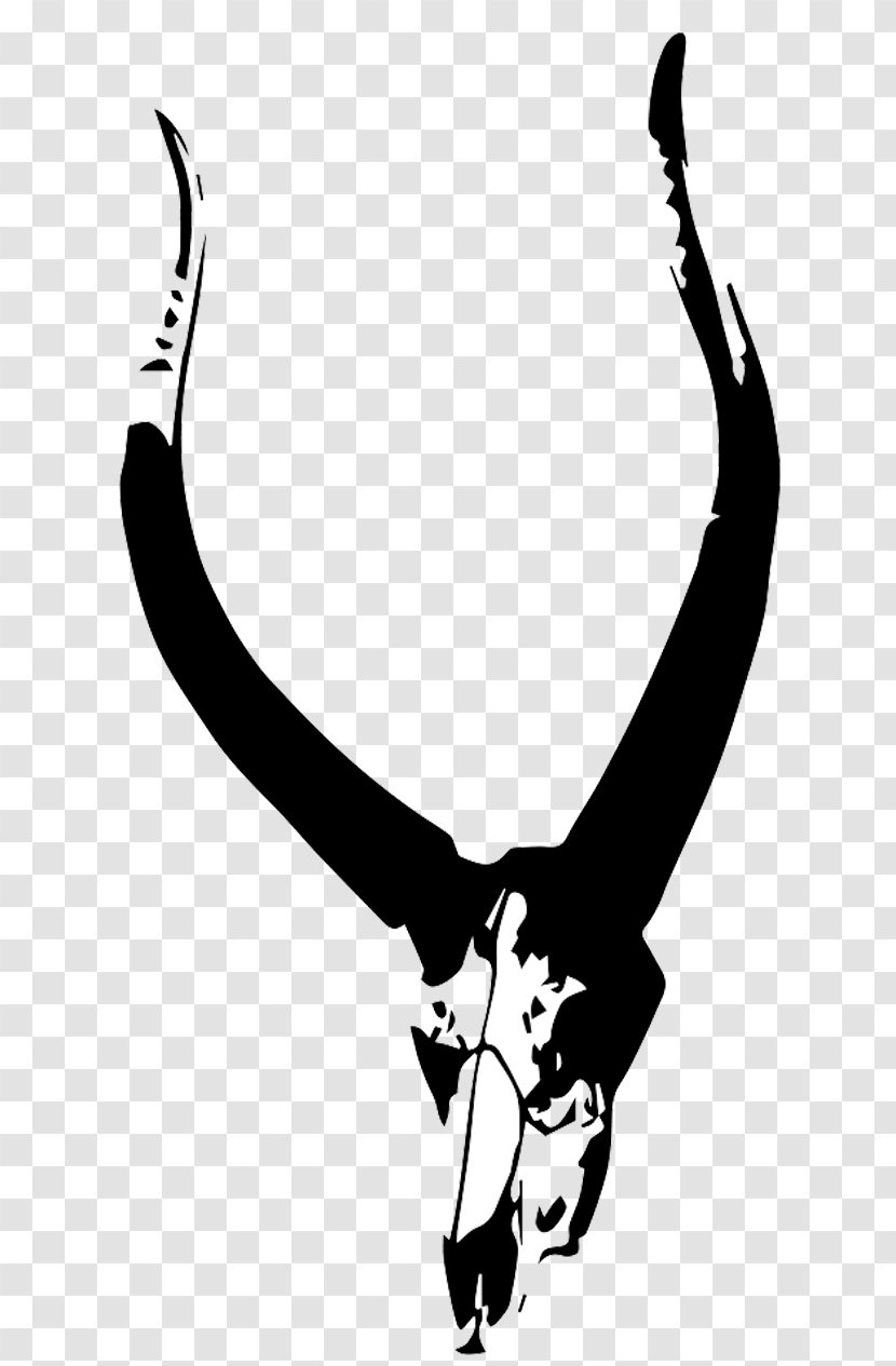 Antelope Pronghorn Clip Art Illustration - Monochrome Photography - Skull Transparent PNG