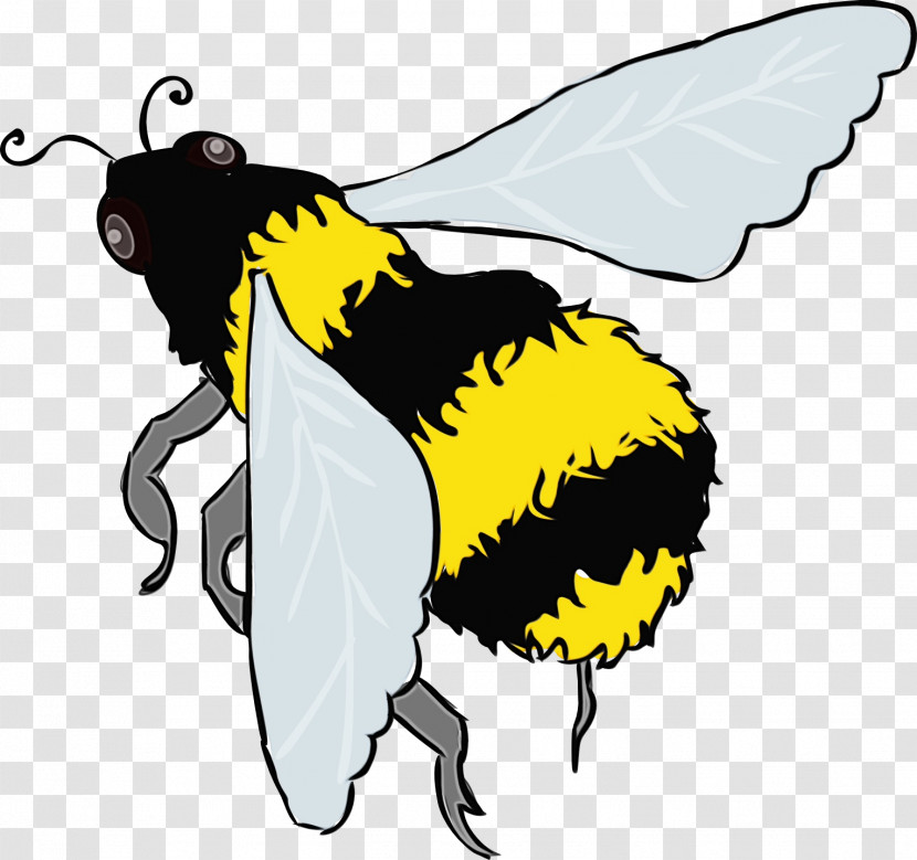 Insects Honey Bee Bees Butterflies Pest Transparent PNG