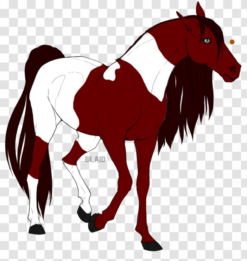 Mustang Pack Animal Stallion Rein Mane - Mythical Creature Transparent PNG