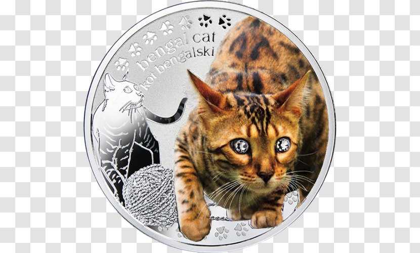 Bengal Cat California Spangled Dragon Li Toyger Ocicat - Small To Medium Sized Cats - Coin Transparent PNG