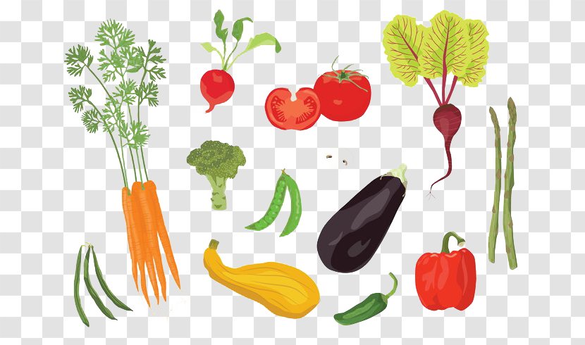 Tomato Graphic Design Illustration - Natural Foods - Edible Vegetables Transparent PNG