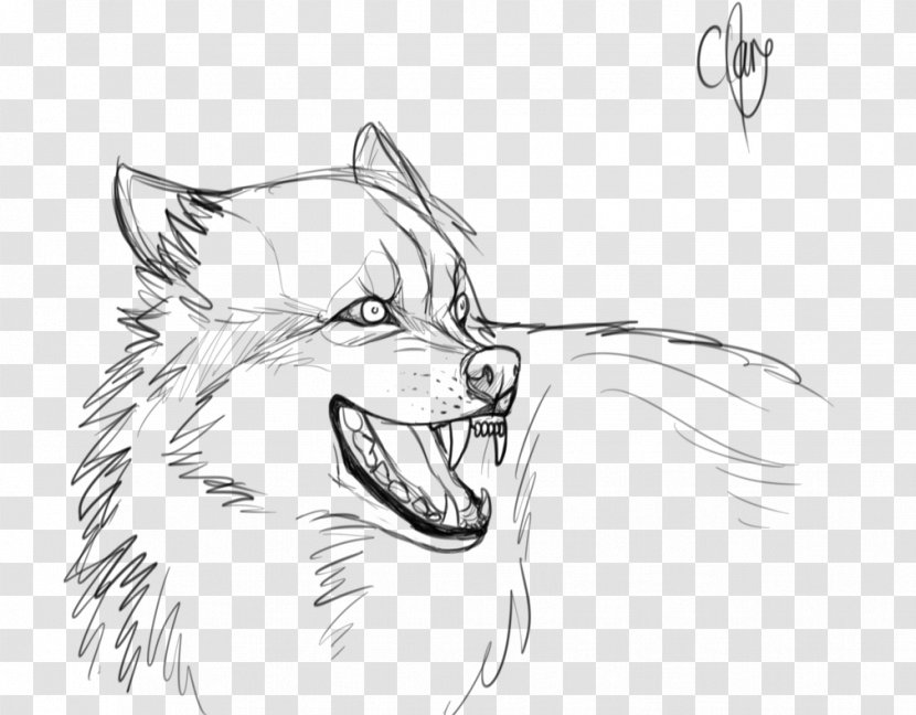 Gray Wolf Snout Line Art Drawing Sketch - Painting Transparent PNG