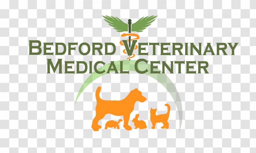 Bedford Veterinary Medical Center Veterinarian Medicine Lowell Road Dog Transparent PNG