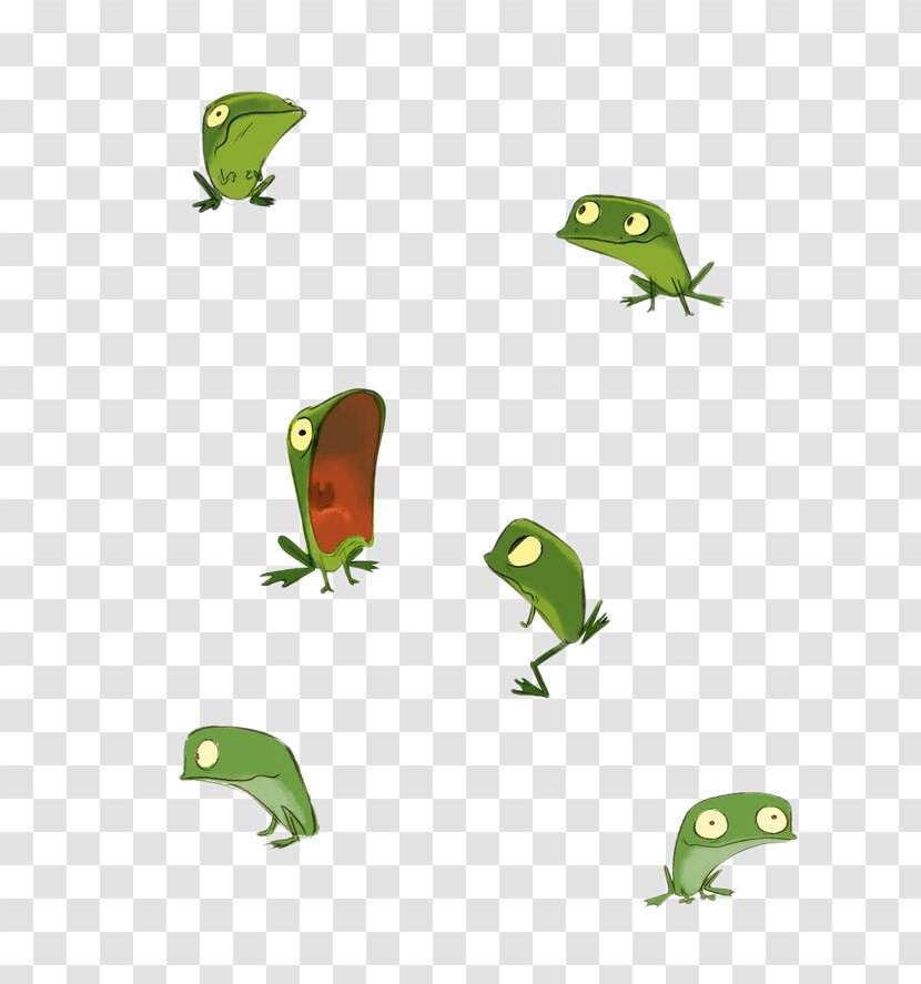 Frog Drawing Model Sheet Illustration - Material - Cute Little Transparent PNG