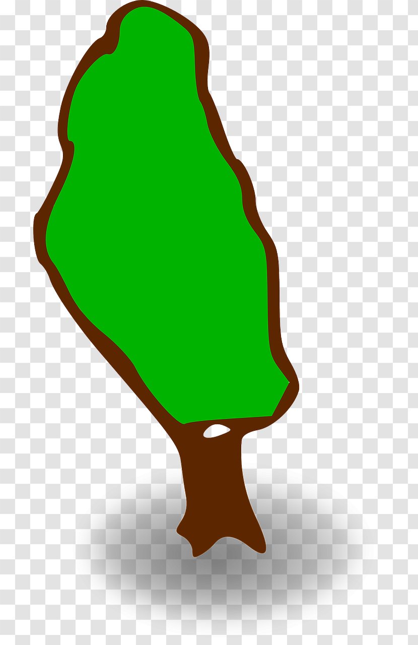 Clip Art - Drawing - Map Tree Transparent PNG