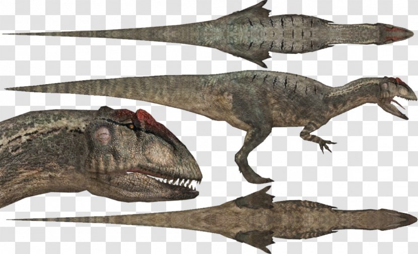 Allosaurus Apatosaurus Diplodocus Postosuchus Velociraptor - Land Animals Transparent PNG