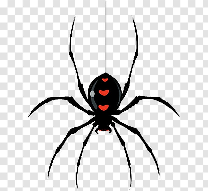 Spider-Man The Very Busy Spider Vector Graphics Clip Art - Araneus Transparent PNG