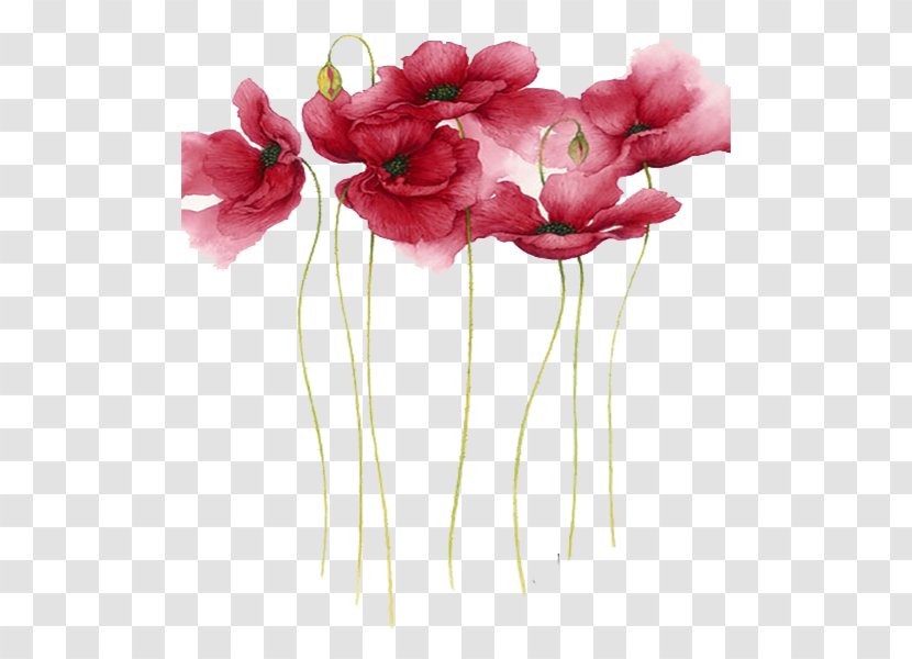 Watercolor Painting Flower Artist - Bouquet - Simple Red Flowers Transparent PNG