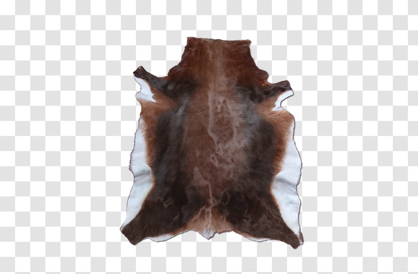 Fur - Blesbok Transparent PNG