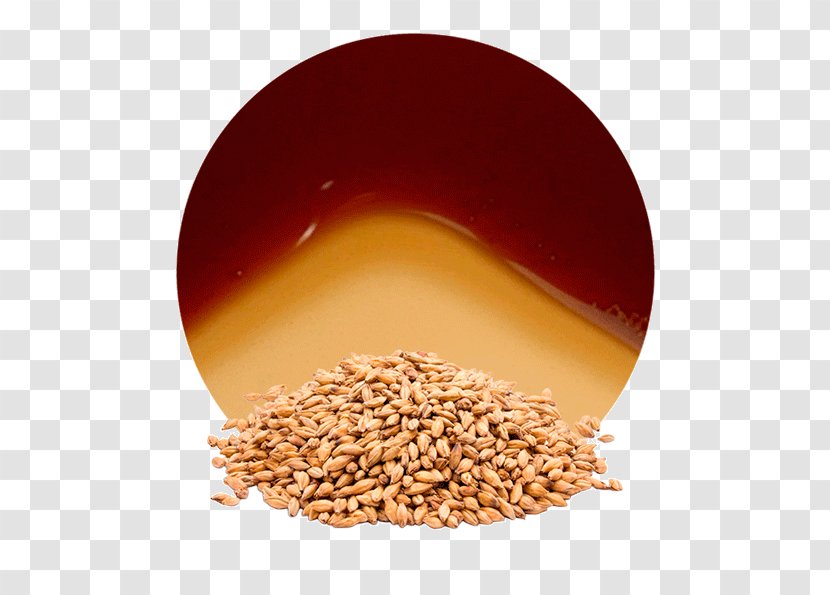 Beer Malt Cereal Grain Barley - Stout - Mango Carrot Juice Transparent PNG