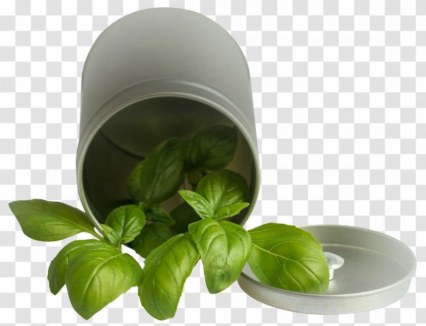 Basil - Essential Oil - Leaf Pot Transparent PNG