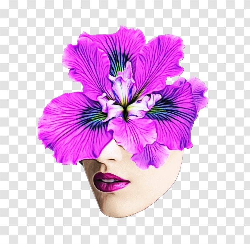 Pink Flower Cartoon - Iris - Mallow Family Viola Transparent PNG