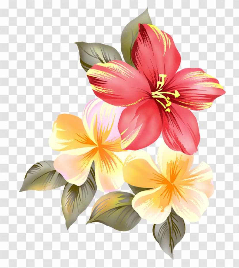 Cut Flowers Floral Design Clip Art - Floristry - Flower Transparent PNG